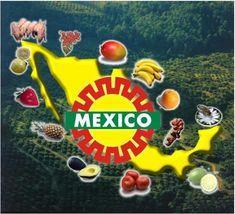 Mexico focused on EurepGAP