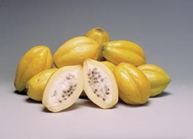 Generic Papayas