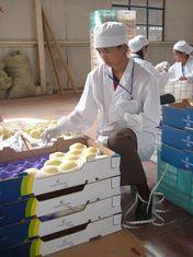 China: storming up the export rankings