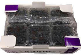 Stepac Xflow blueberry packaging