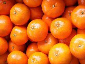 PE_clementine mandarins