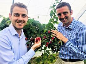 Jamie Smith James Hutton (left) Jamie Petchell GPG (right) raspberries