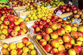 Polish apples at market