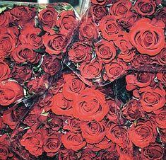 Indian rose exports plummet