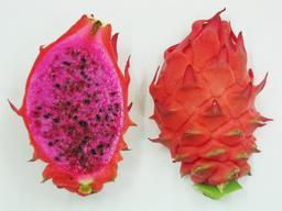 Red dragon fruit