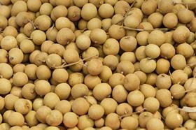 GEN Thai fruit longan background. Longan exotic fruit for sell in street market, Thailand, close up, top view