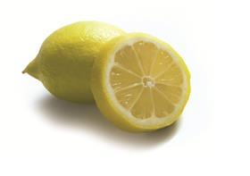 CVVP Summer Prim lemons