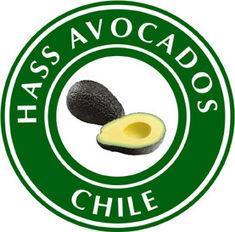 Chilean avocados have suffered from the abnormally low temperatures