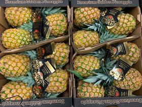 La Dona Fruit Pineapple Sea Freight1 (1)