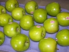 Many thought Granny Smith apples were grown in the UK
