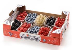 Sant Orsola berries tray