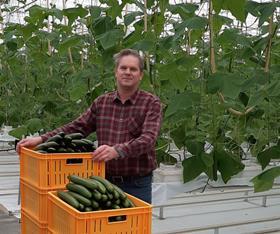 BE BelOrta cucumbers Wim Joosen