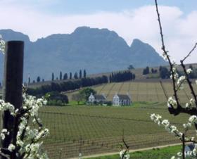 South Africa Colorsfruit Farm