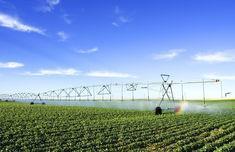 Scottish food security stakeholders meet