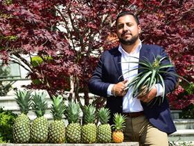 Frank Ocampo Hage International pineapples