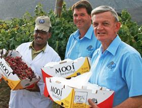 Stephanus Rossouw (right) Francois Rossouw (middle)