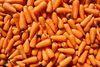 UK carrots close hungry gap