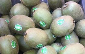 Sweeki kiwifruit