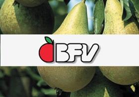 BFV conference pears