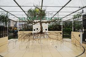 EMR's Fruit of the Tree