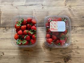 Hugh Low Farms Mini Berries