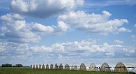 Polytunnels