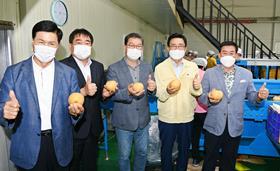 Korea Agro-Fisheries & Food Trade Corporation (aT) korea pears export US