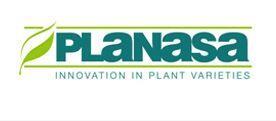 Planasa logo