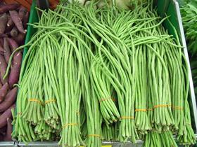 Yardlong beans asparagus snake Chinese long beans