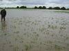 Floods in Lincolnshire threaten veg supplies