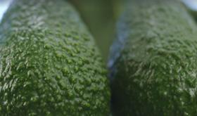 Cartama avocados