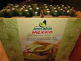 Avocados from Mexico display