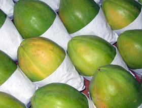 Brazilian papayas in box
