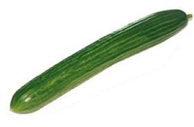 French cucumber