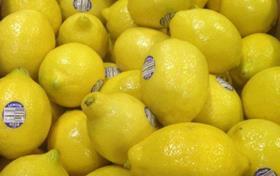 Chilean lemons