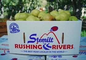 Stemilt Rushing River pears