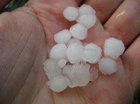 Hailstones copyright Agronotizie