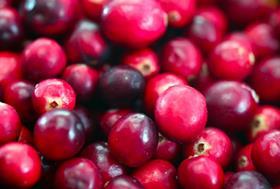 Cranberries