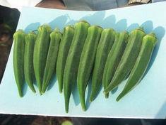 Steady growth in exotics aisle as shopper interest on rise