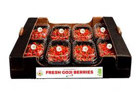 p136-137 main pic IT Goji Italia punnets carton