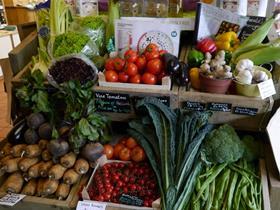 Fresh veg at Newton Farm Foods, Bath