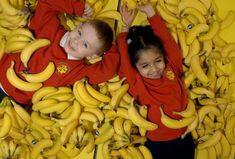 Infants can't get enough free fruit, but once the flow dries up, so does consumption