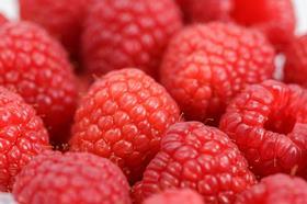 Adelita raspberries