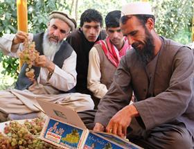 Afghan Farmers