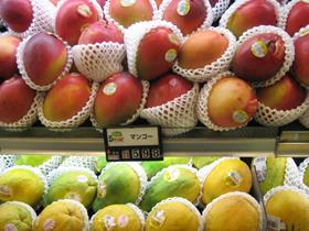 japan mangoes