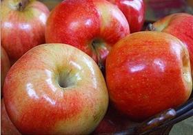 waxed apples