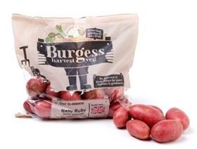 Burgess Harvest Veg Produce World