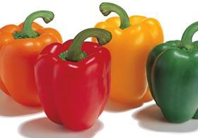Agrexco organic peppers