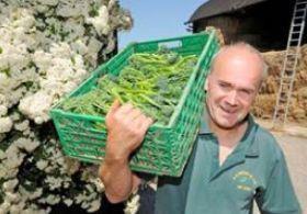 Tenderstem grower Andrew Green UK