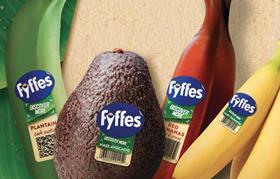 Fyffes exotics detail